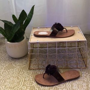 Coach Darcie Soft Pat/KDSE Coach Darcie Soft Pat/KDSE